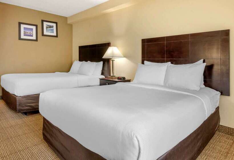 Fotos del hotel Comfort Inn International Drive:  8