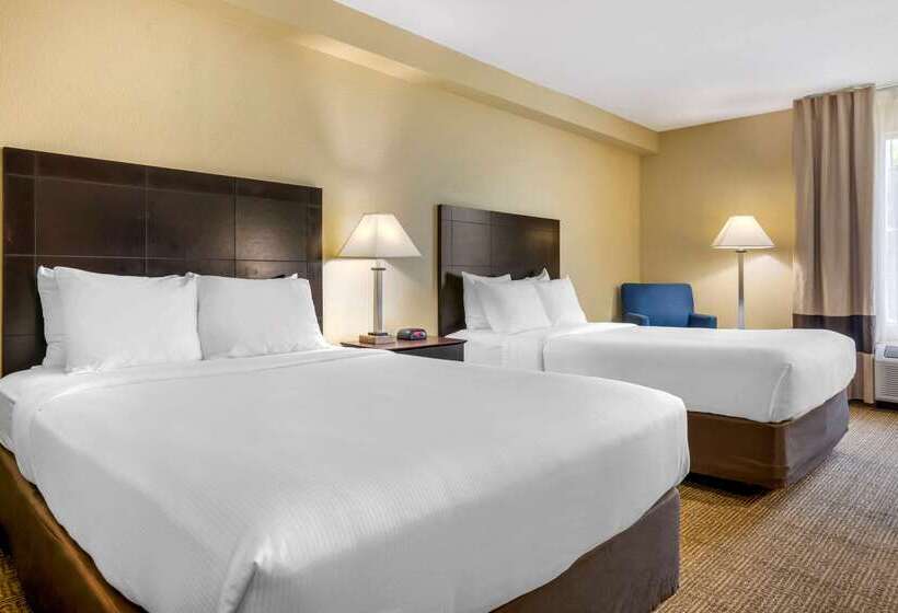 Fotos del hotel Comfort Inn International Drive:  21