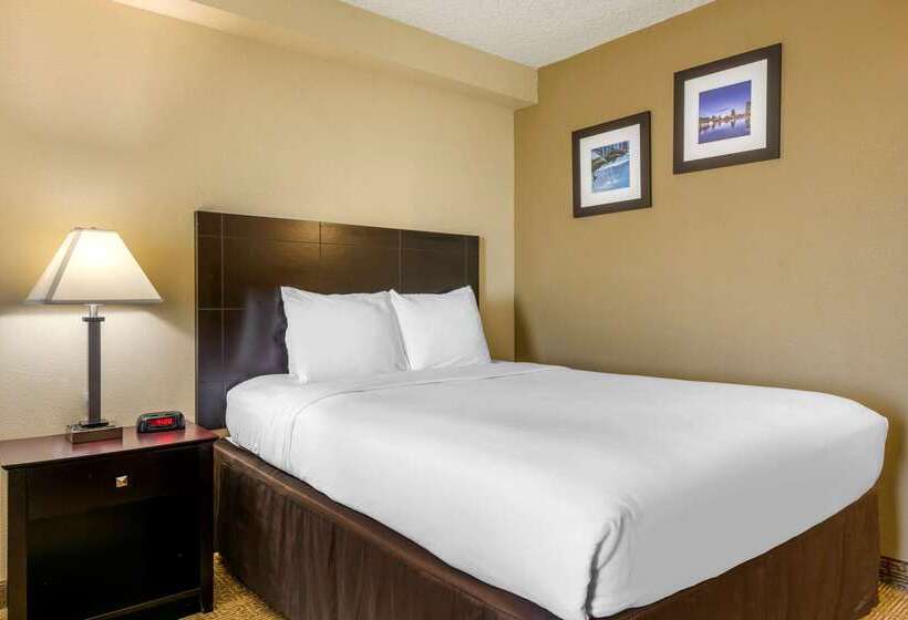 Fotos del hotel Comfort Inn International Drive:  20