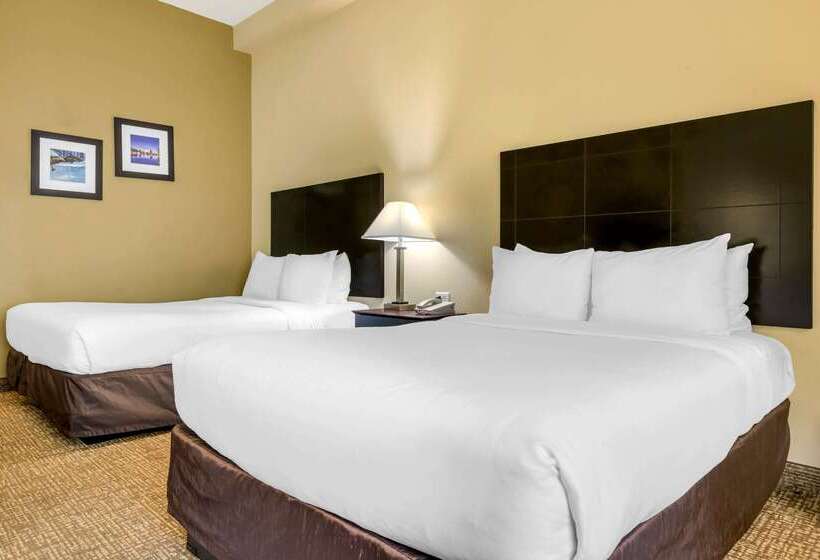 Fotos del hotel Comfort Inn International Drive:  15