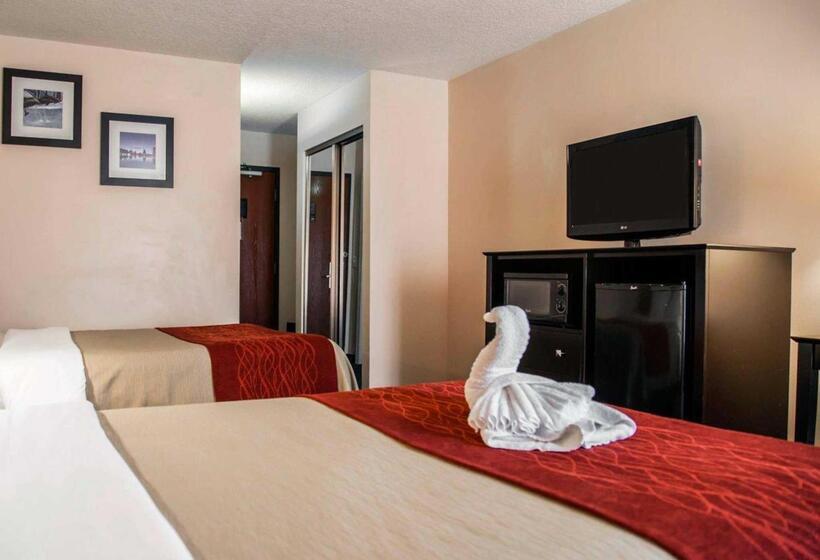 Fotos del hotel Comfort Inn International Drive:  2