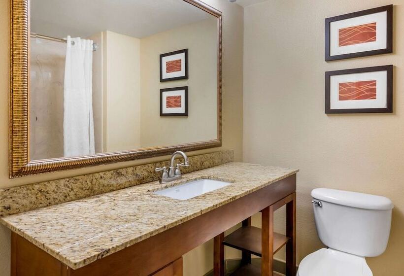 Fotos del hotel Comfort Inn International Drive:  32