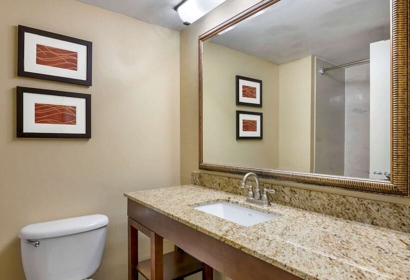 Fotos del hotel Comfort Inn International Drive:  35