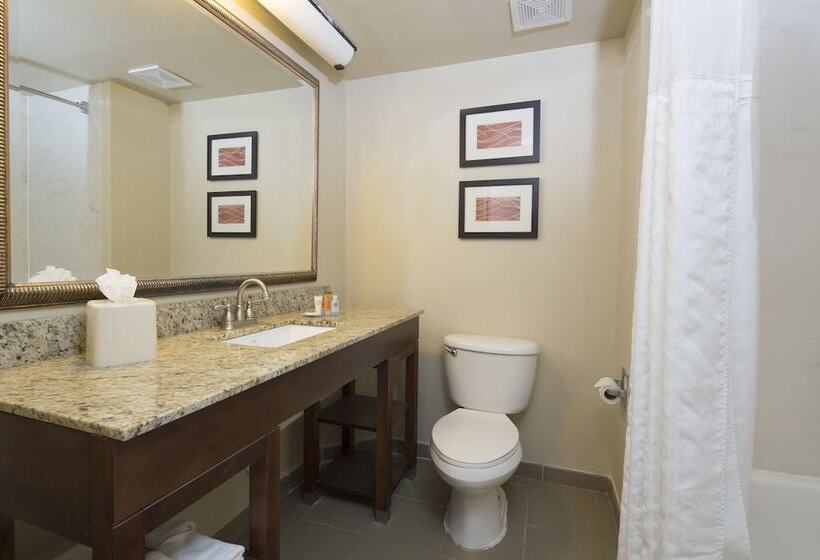 Fotos del hotel Comfort Inn International Drive:  31