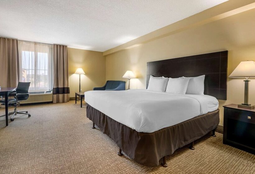 Fotos del hotel Comfort Inn International Drive:  10