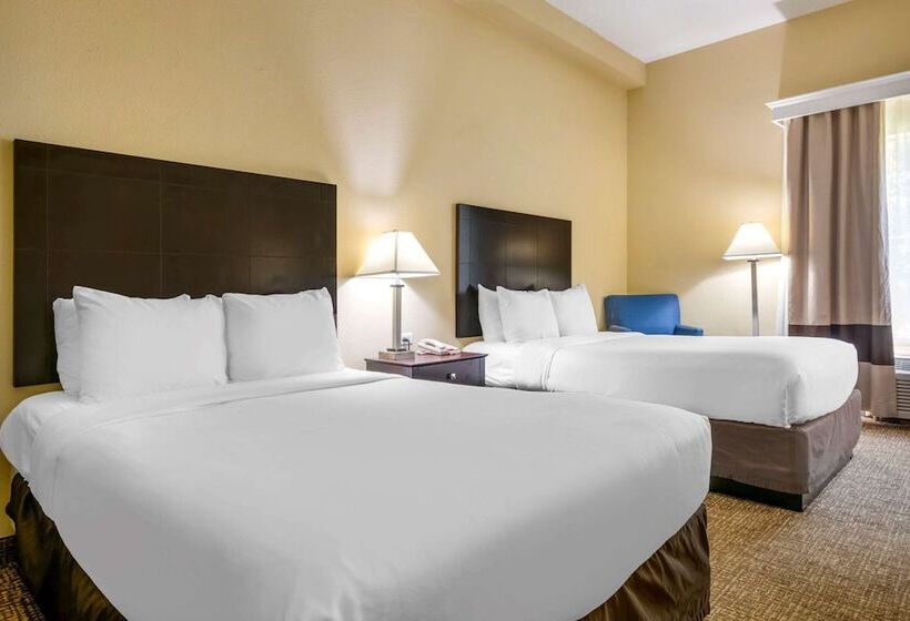 Fotos del hotel Comfort Inn International Drive:  14