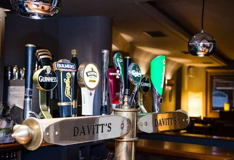 هتل Davitts Guesthouse