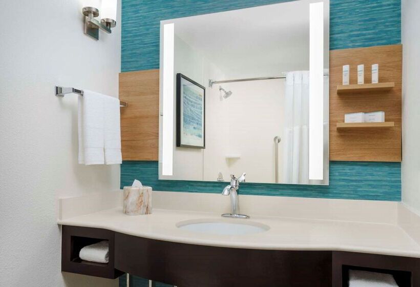 Fotos del hotel Hilton Garden Inn Orlando At Seaworld:  28