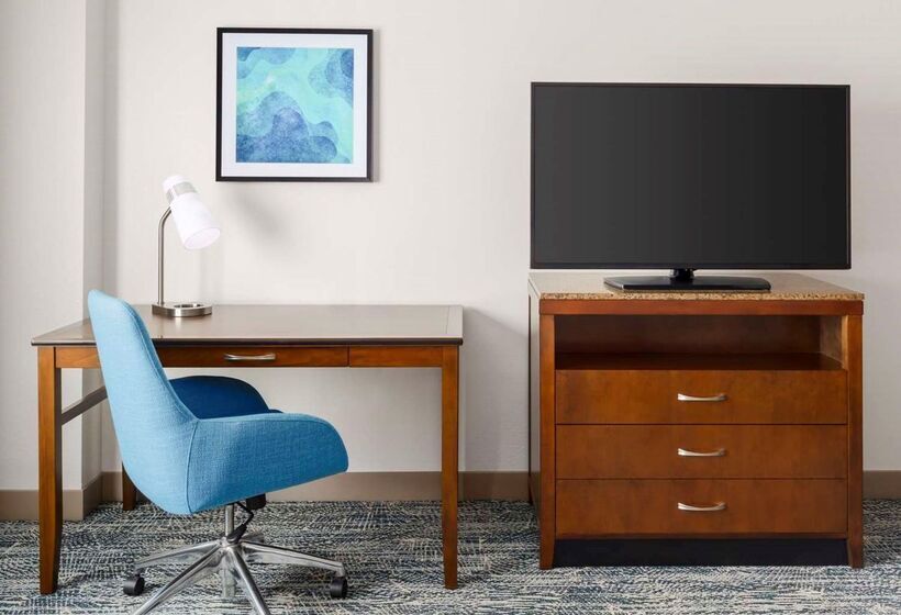 Fotos del hotel Hilton Garden Inn Orlando At Seaworld:  36