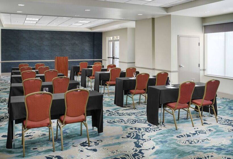 Fotos del hotel Hilton Garden Inn Orlando At Seaworld:  44