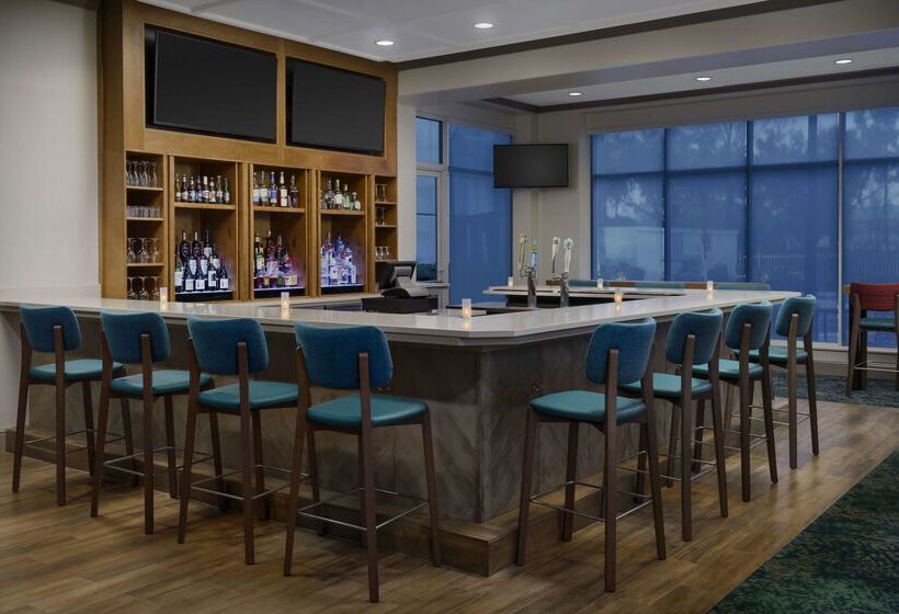 Fotos del hotel Hilton Garden Inn Orlando At Seaworld:  43