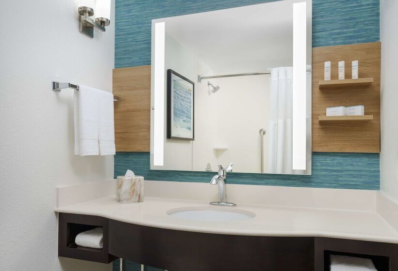 Fotos del hotel Hilton Garden Inn Orlando At Seaworld:  40