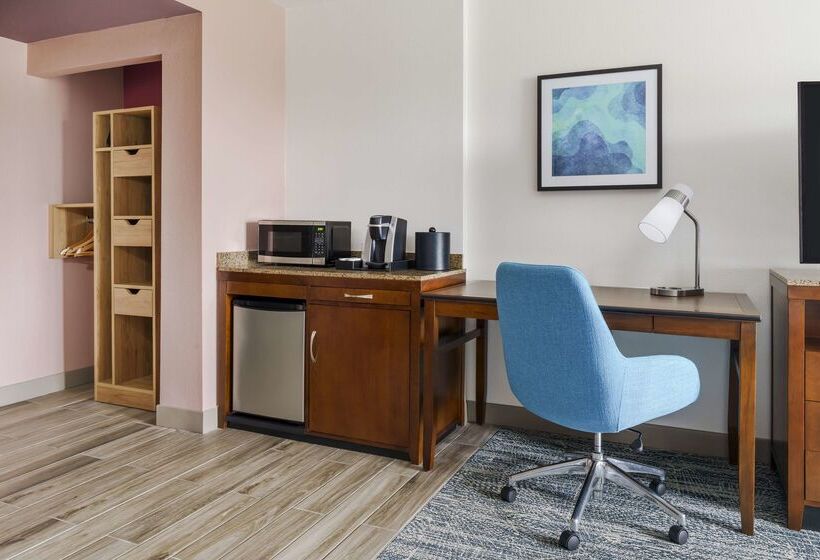 Fotos del hotel Hilton Garden Inn Orlando At Seaworld:  49