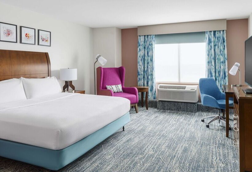 Fotos del hotel Hilton Garden Inn Orlando At Seaworld:  6