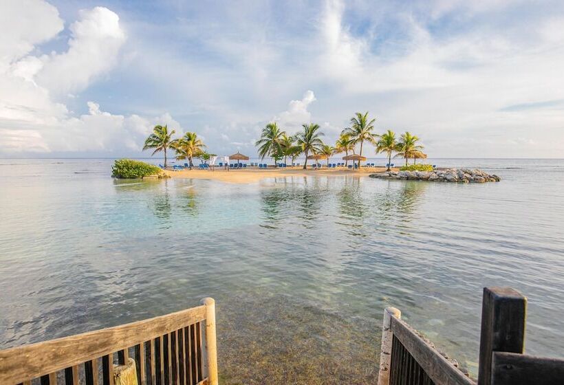 هتل Catalonia Montego Bay   All Inclusive
