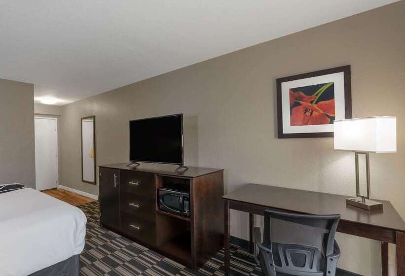 Fotos del hotel La Quinta By Wyndham Orlando Universal Area:  8