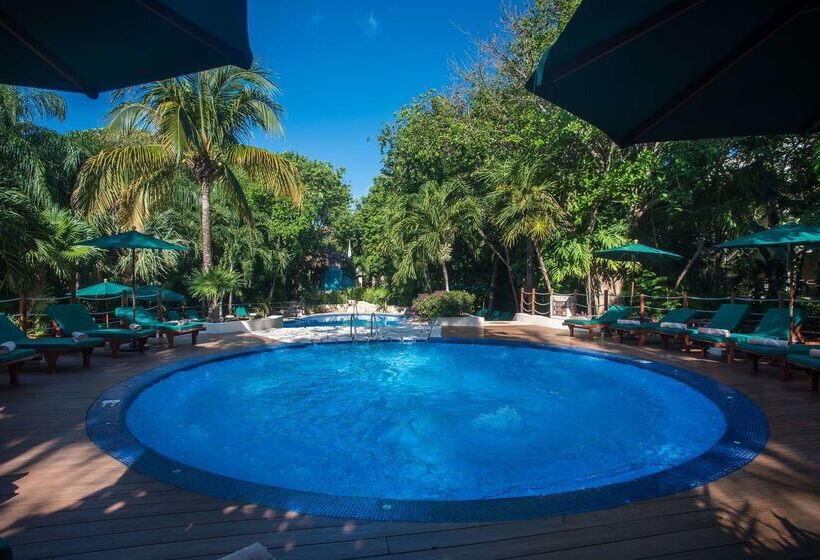 Hôtel Occidental At Xcaret Destination   All Inclusive