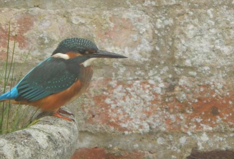 مبيت وإفطار Astwell Mill