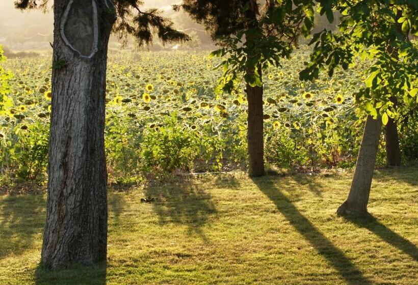 ベッドアンドブレックファースト Domaine De Luzenac