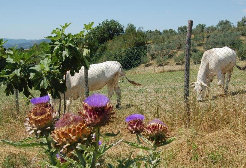호텔 Agriturismo Casale Dei Frontini