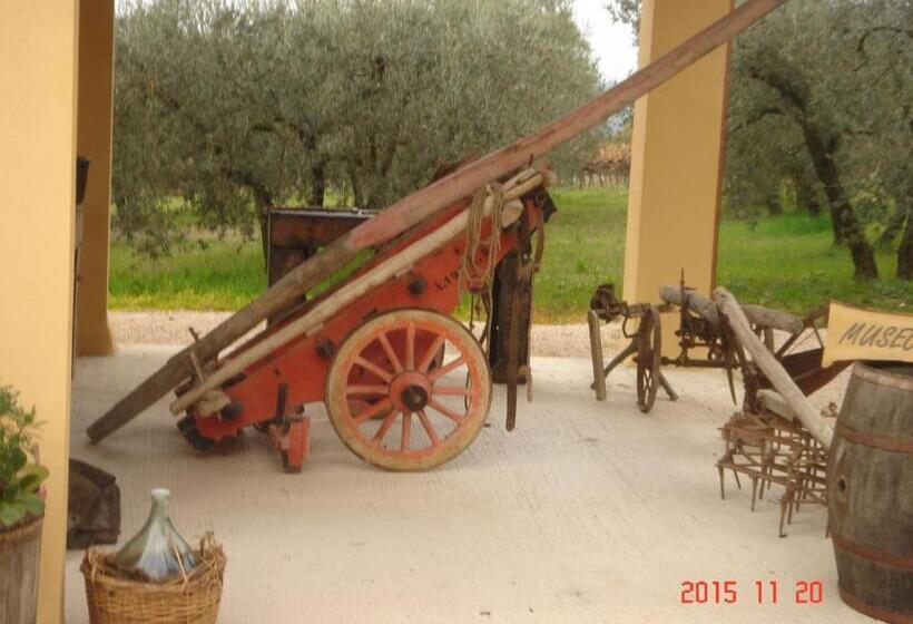 호텔 Agriturismo Il Truffarello Todi