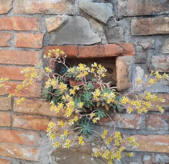 호텔 Agriturismo Il Truffarello Todi