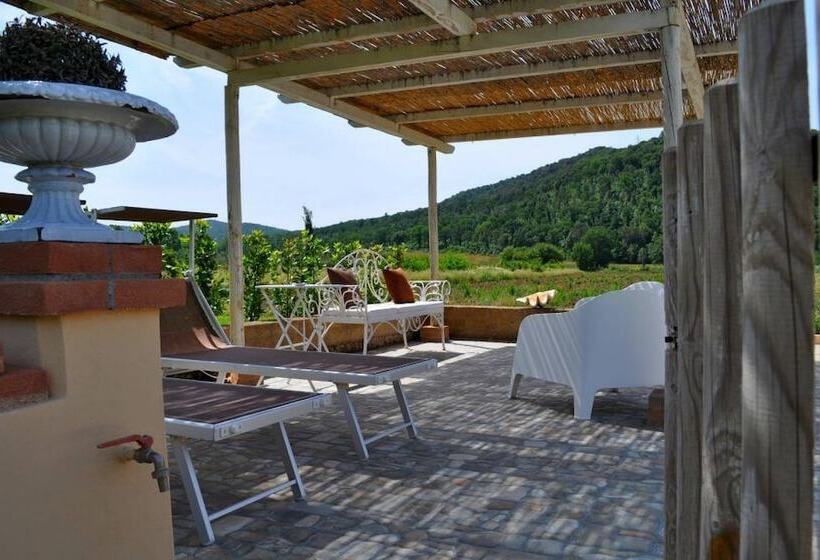 فندق Podere L Olmaia