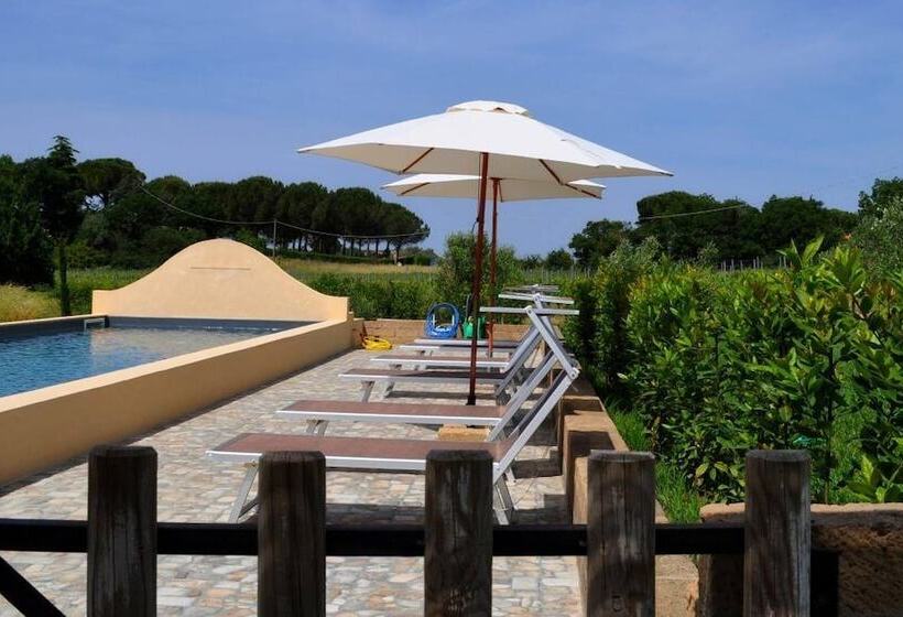 فندق Podere L Olmaia