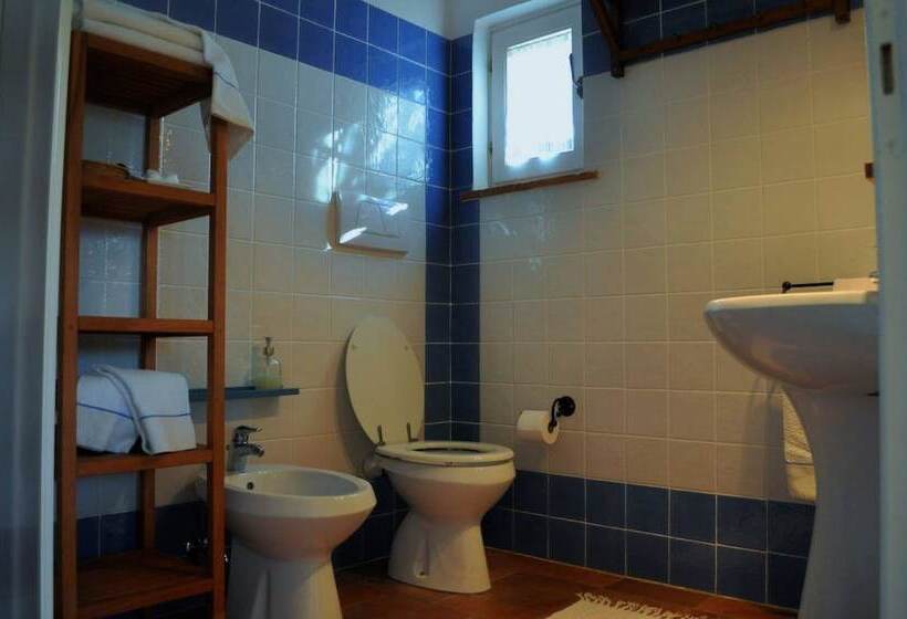 فندق Podere L Olmaia