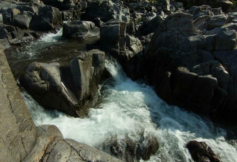 فندق Shepherd Mountain Inn & Suites
