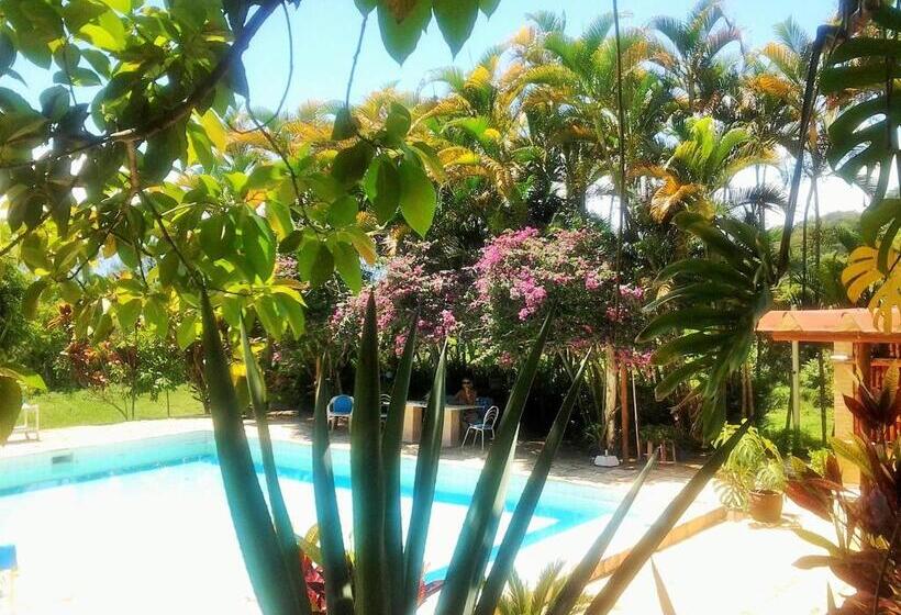 Пансион Fazenda Terra Ramos
