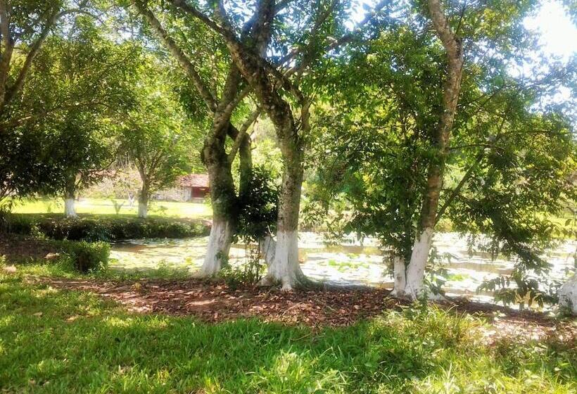 Пансион Fazenda Terra Ramos
