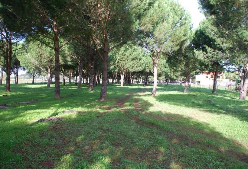 ペンション Quinta A Reforma