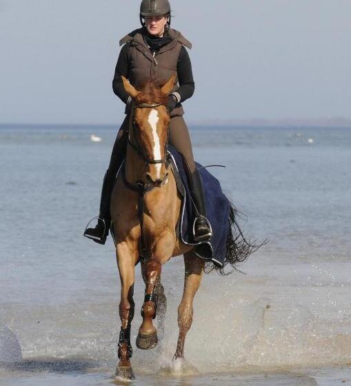 بنسيون Reitanlage Plath