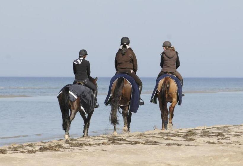 بنسيون Reitanlage Plath