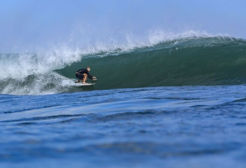 旅馆 Wave House   Surf Camp