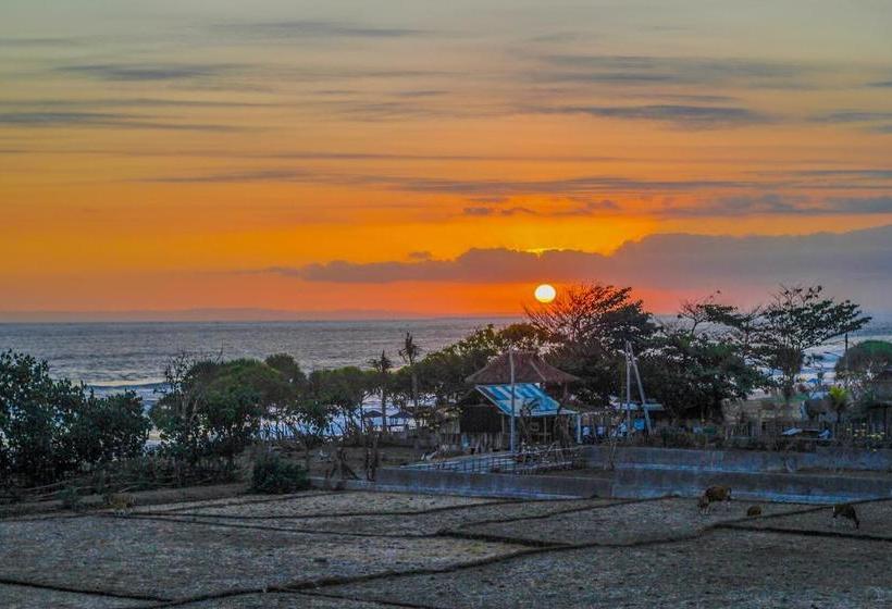 민박 The Anara Surfing Camp