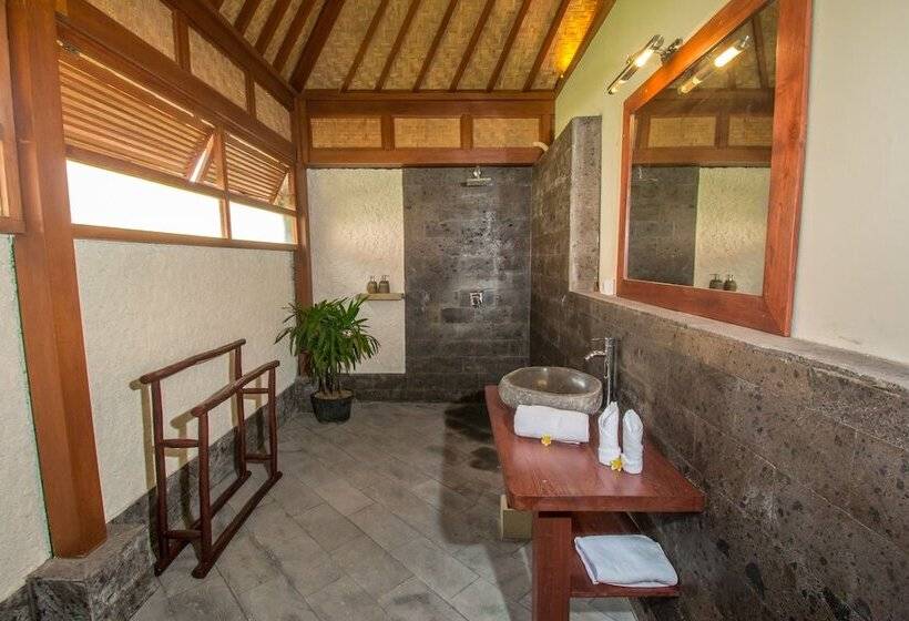 Bed and Breakfast Villa Waturenggong Ubud