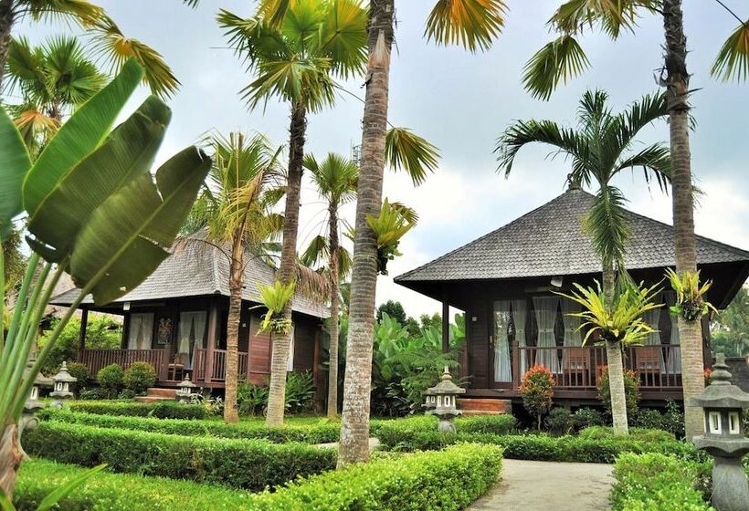 هتل Dong Loka Guesthouse Bali