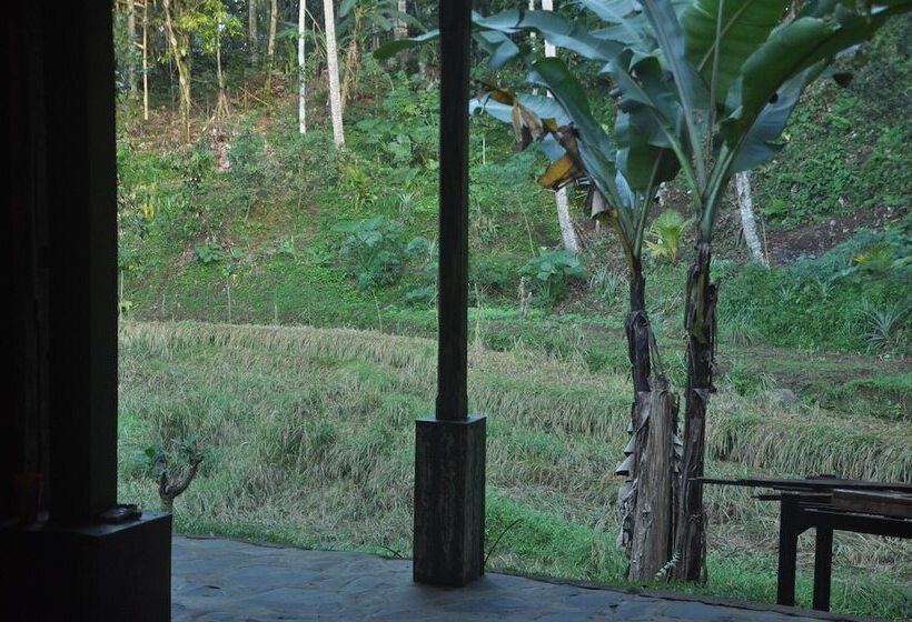 Пансион Oemah Tepi Sawah