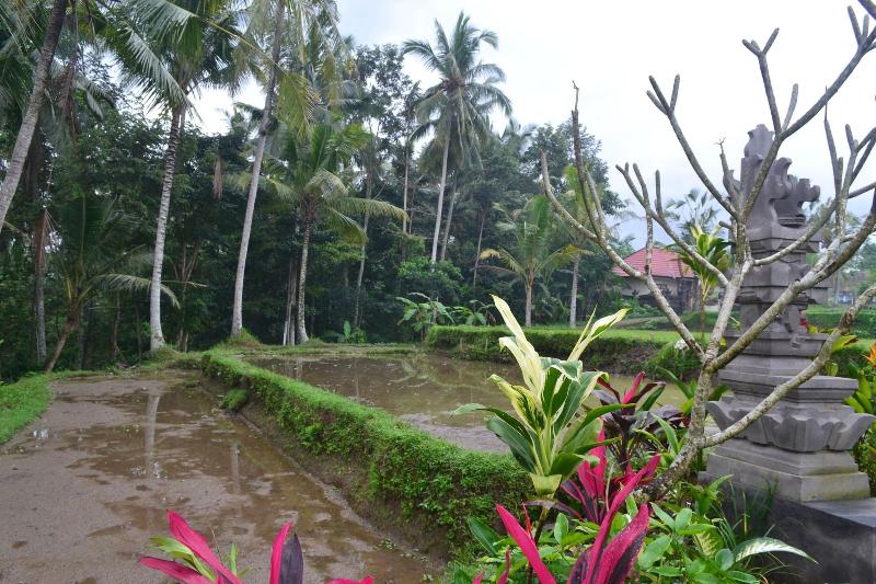 住宿加早餐  Buda Cottage Ubud