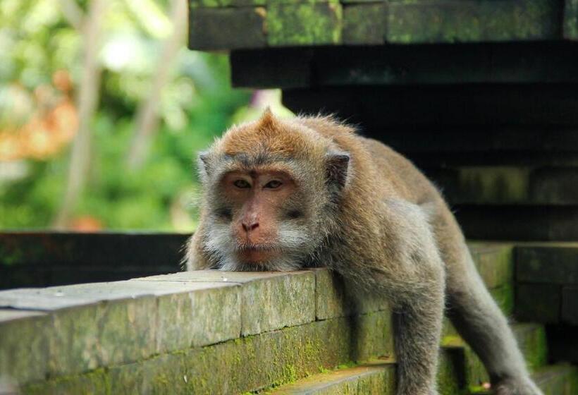 Bed and Breakfast Dedeane Ubud
