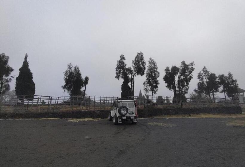 مبيت وإفطار Kopikuin Bromo Homestay