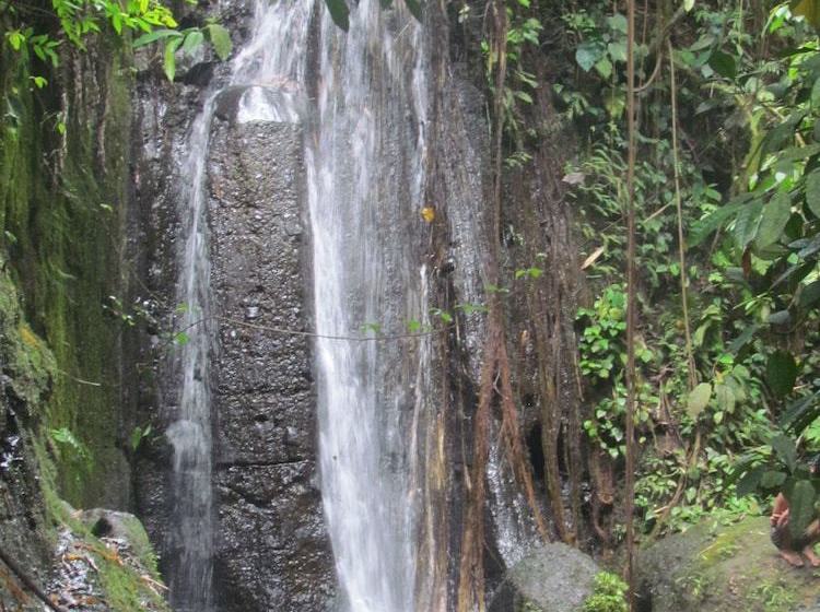 Bed and Breakfast Tetebatu Indah Homestay