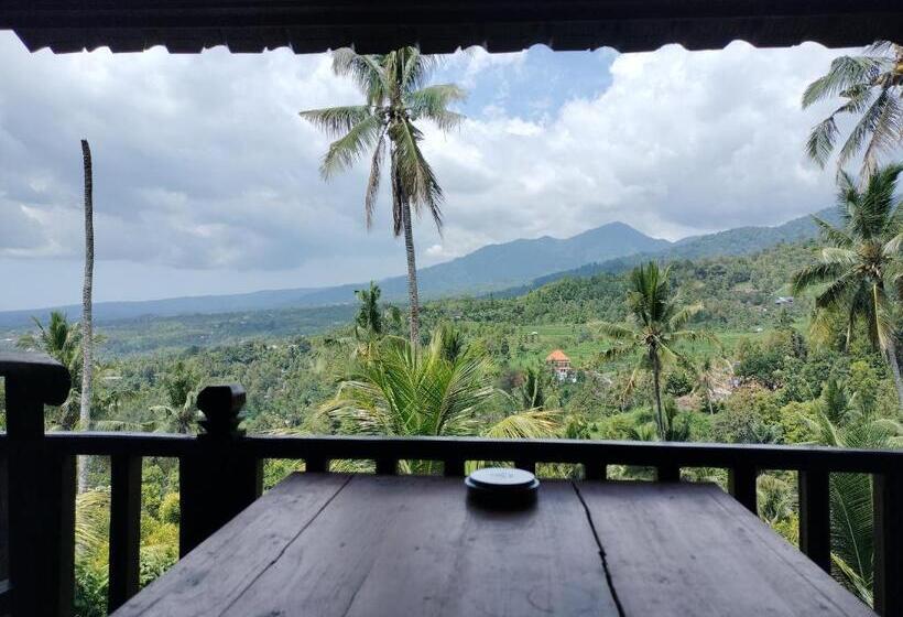 호텔 D Kailash Retreat