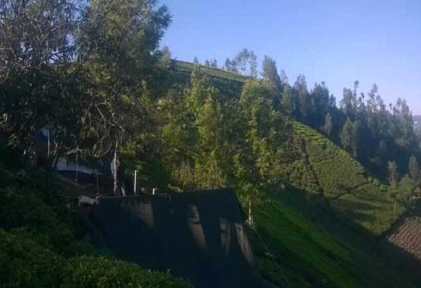 호텔 Janardan Tea Resort   Campsite