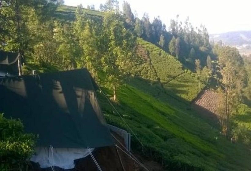 호텔 Janardan Tea Resort   Campsite