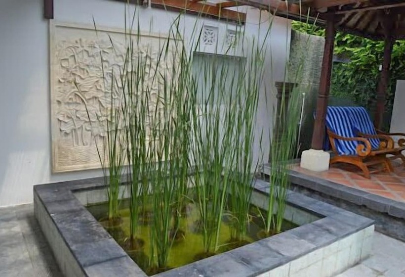 پانسیون Kelapa Guest House