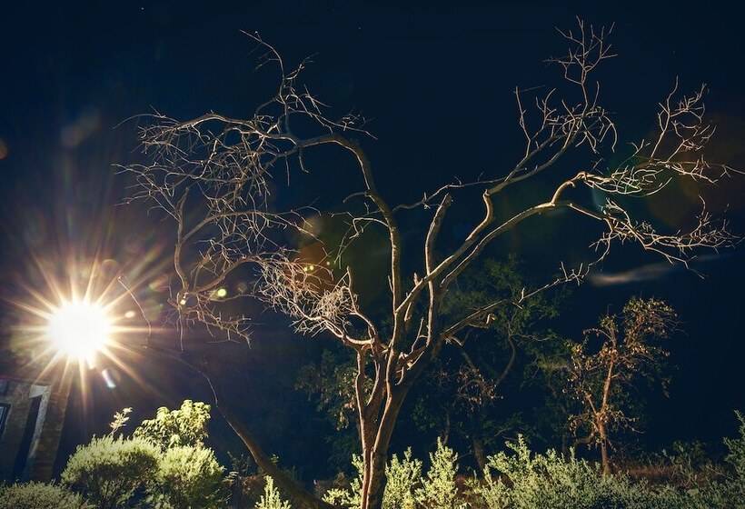 منتجع Ghanerao Jungle Lodge