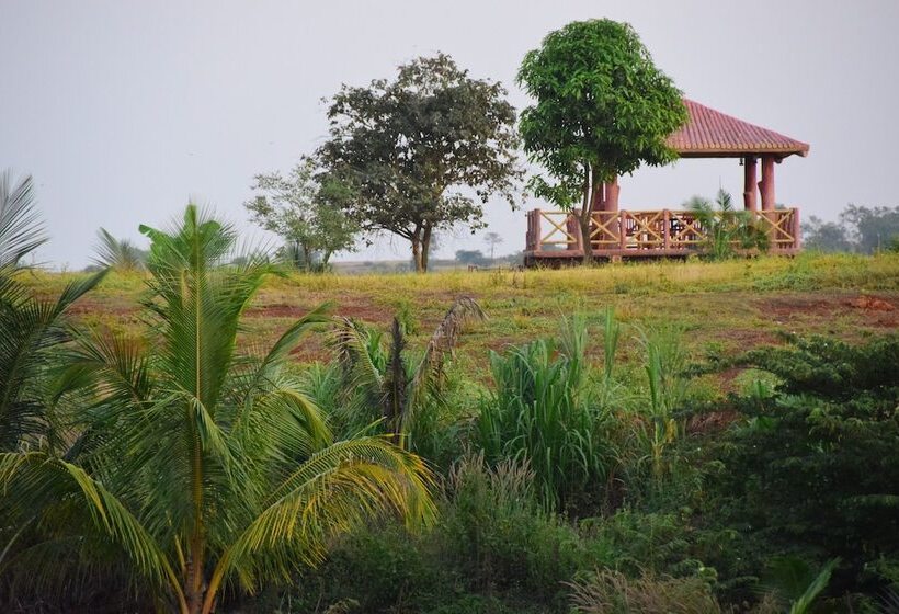 渡假胜地  Fazlani Natures Nest   The Wellness Retreat